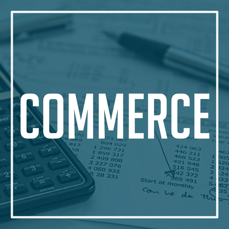 Commerce / Accounting Guidebooks Dogar Brothers